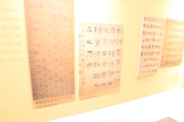 个园旅行图片 8