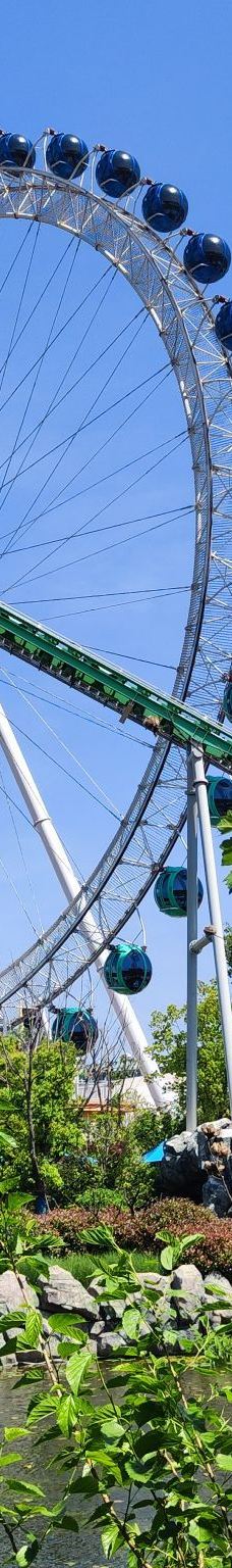 南京-YoYo_6N9L5H9X