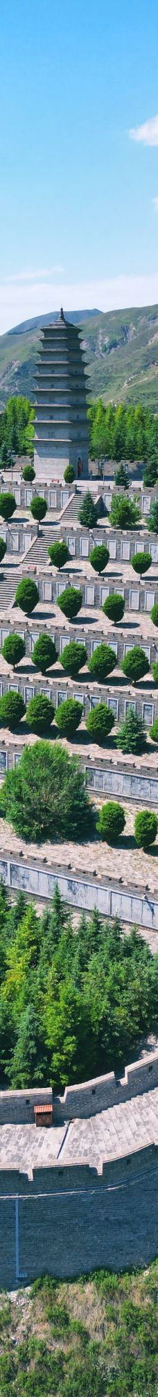 雁门关景区-代县-一只特立独行的貓