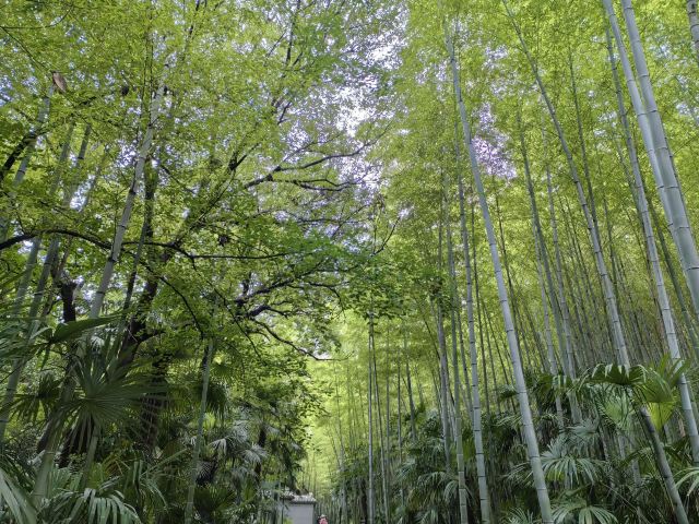 南山风景区旅行图片 1