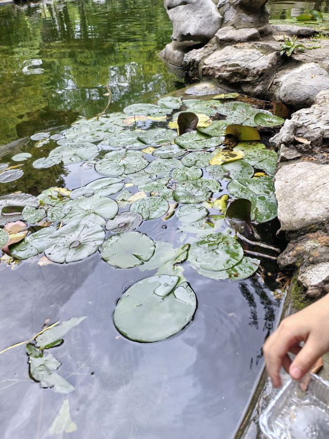 南山风景区旅行图片 7
