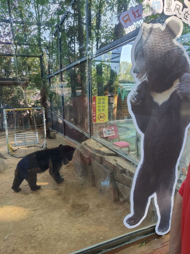 皖南野生动物园旅行图片 1