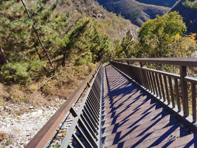 千灵山旅行图片 2