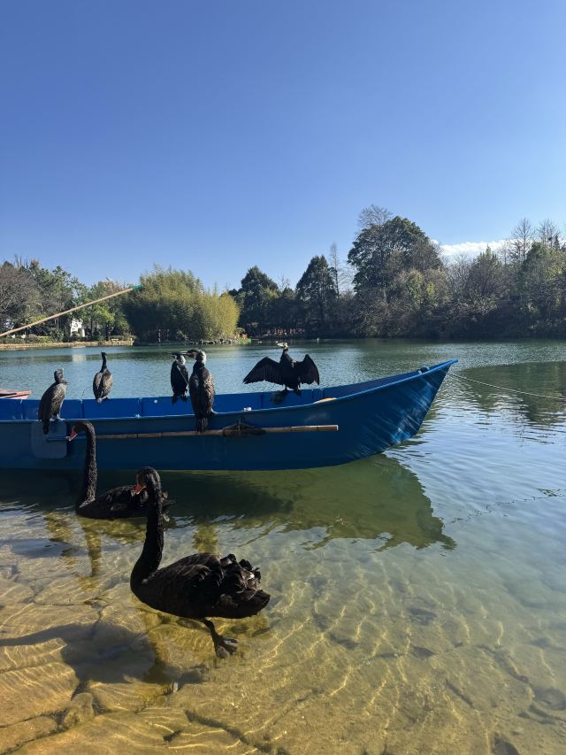 蝴蝶泉旅行图片 1