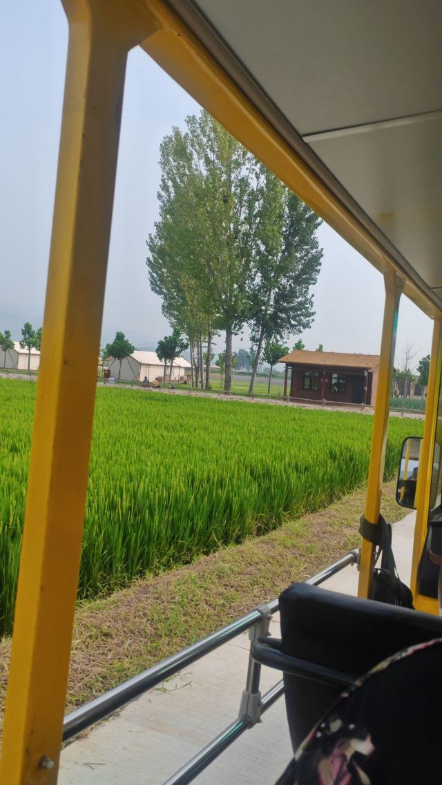 左右山谷亲子度假区(暂停开放)旅行图片 3