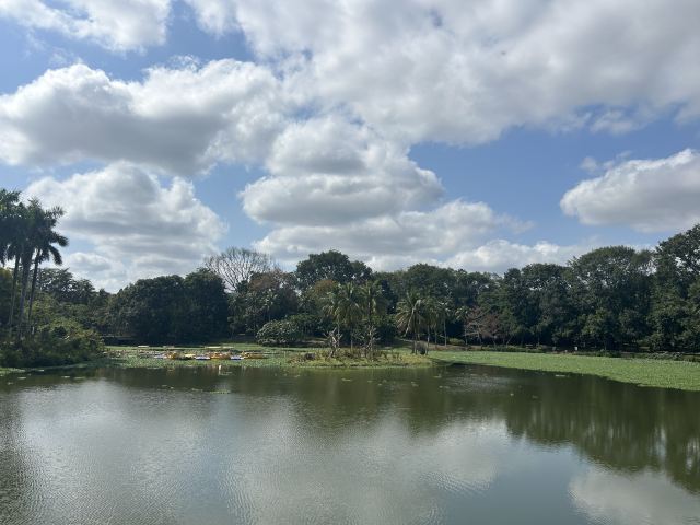 海南热带植物园旅行图片 1