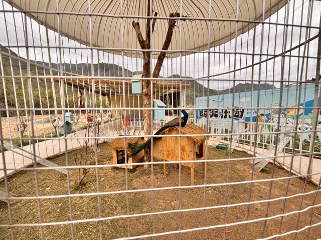 春沐源小镇·青苹果大草坪旅行图片 7