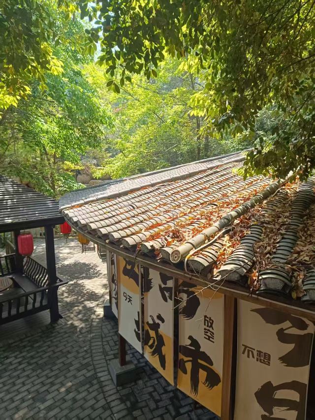 虔心小镇腐竹坊旅行图片 3