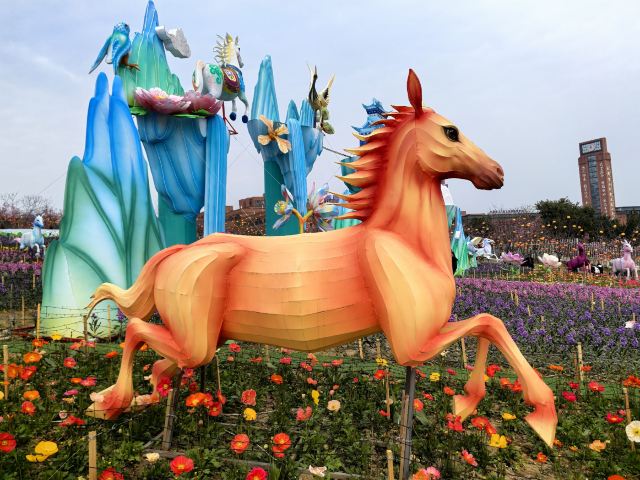 音乐·百花谷旅行图片 2