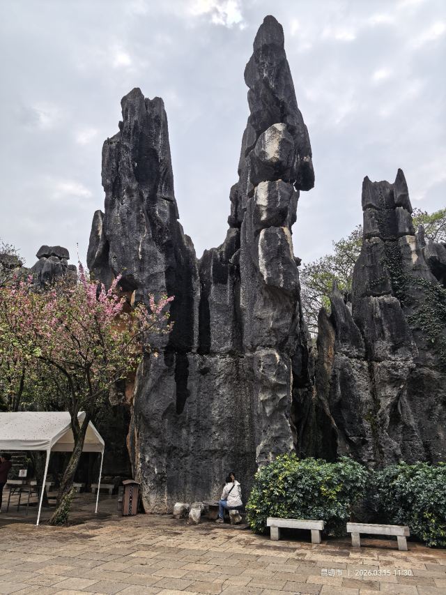 石林风景区旅行图片 3