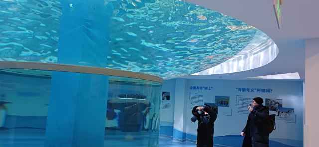 哈尔滨极地公园旅行图片 3