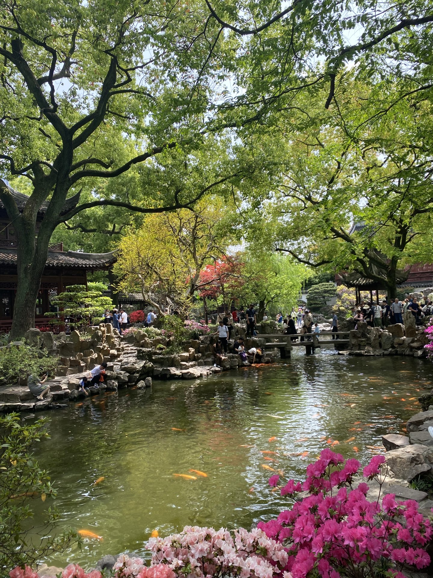 Yu Garden. Shanghai 