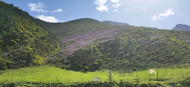 青海互助北山国家森林地质公园浪士当中心景区(暂停开放)旅行图片 1