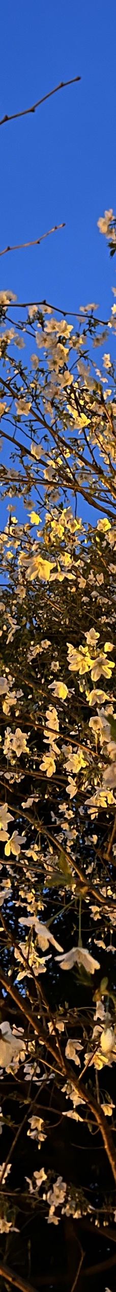 宁波植物园-宁波-Rebecca.L