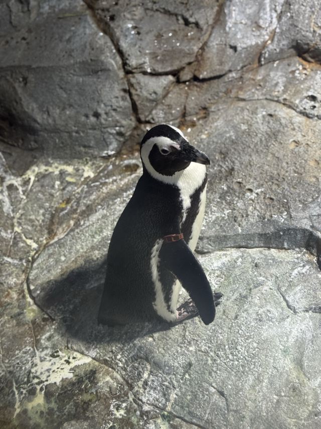 上海长风公园旅行图片 2
