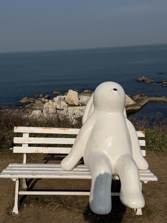 养马岛林间花海旅行图片 8