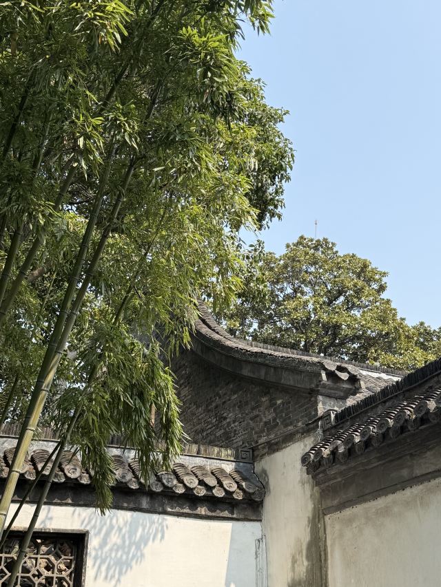 个园旅行图片 3