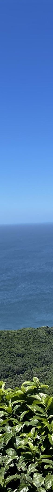 海南铜鼓岭景区-文昌-花霸酱