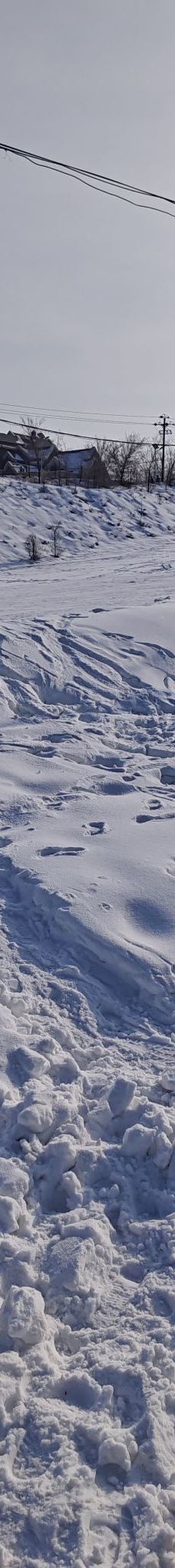 乌鲁木齐-虛乄榊