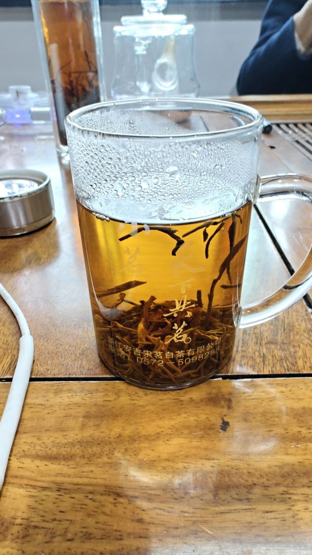 宋茗茶博园旅行图片 2
