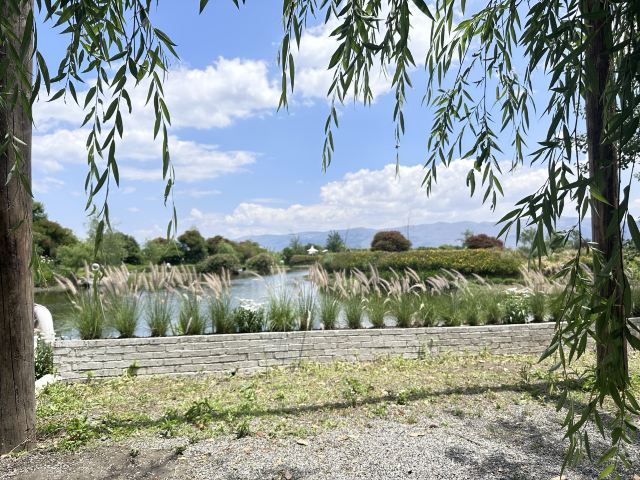 大理水花庄园旅行图片 2