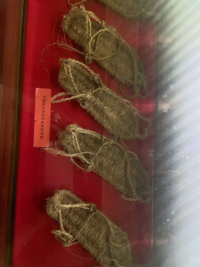 西双版纳独树成林景区旅行图片 6