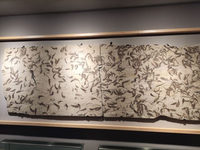 朝阳化石谷旅行图片 1