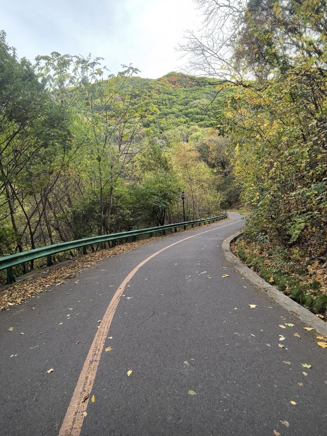 朱雀山国家森林公园旅行图片 2