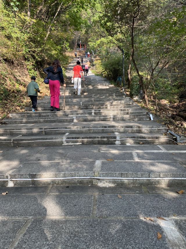 朱雀山国家森林公园旅行图片 1