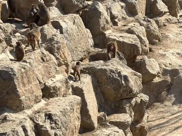 太原动物园旅行图片 2