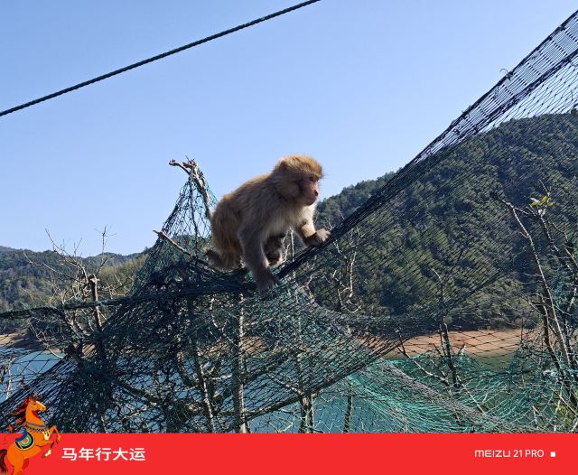 黄山市太平湖风景区旅行图片 6