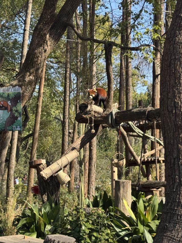 上海动物园旅行图片 1