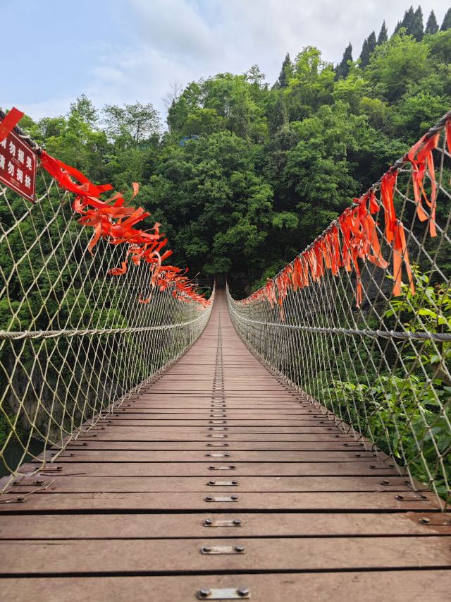洒金公园旅行图片 9