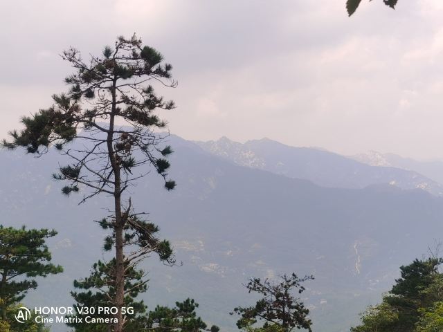 沂蒙山旅游区旅行图片 2