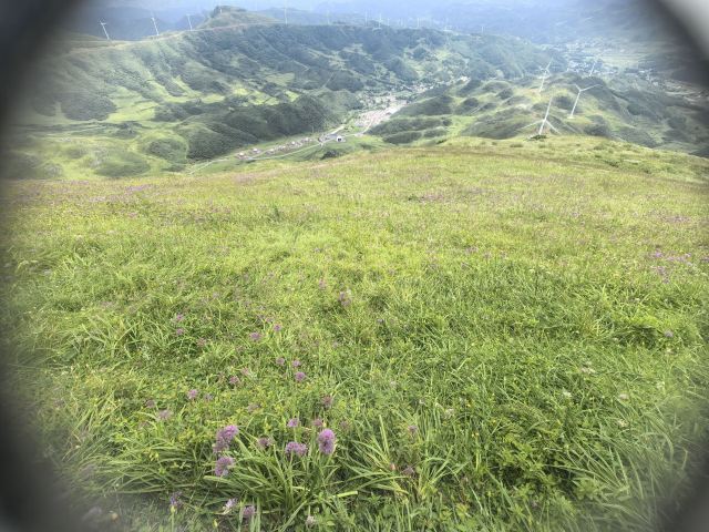 阿西里西韭菜坪旅行图片 1