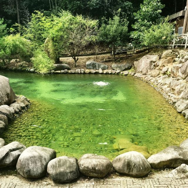 箬寮原始森林旅行图片 1