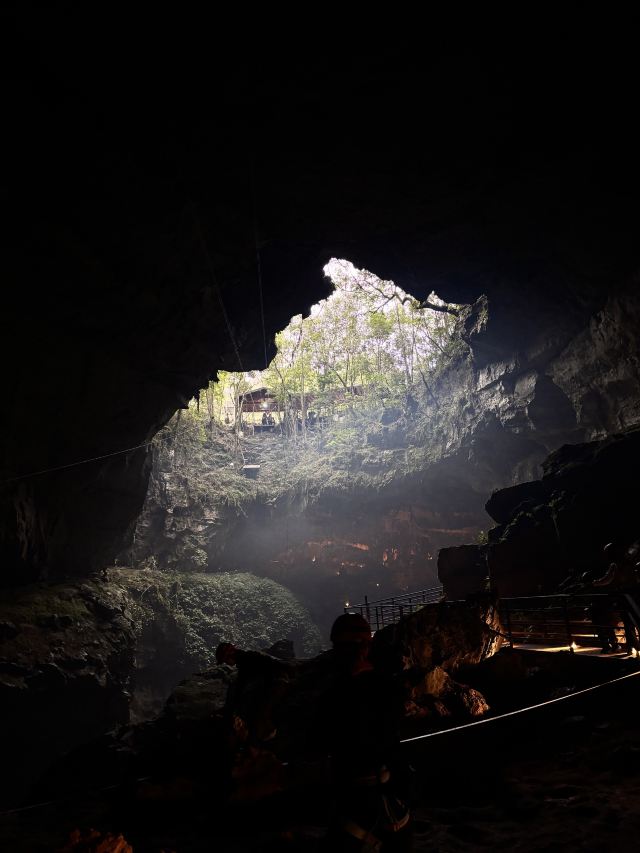 荔波酷玩森林旅行图片 1