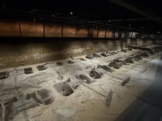 楚王车马阵景区旅行图片 3