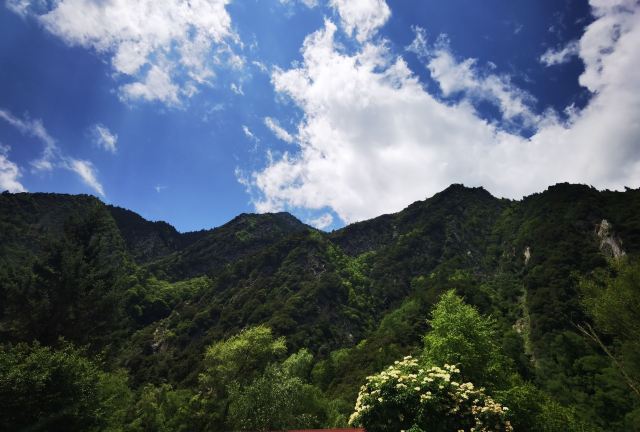 叠溪松坪沟景区旅行图片 3