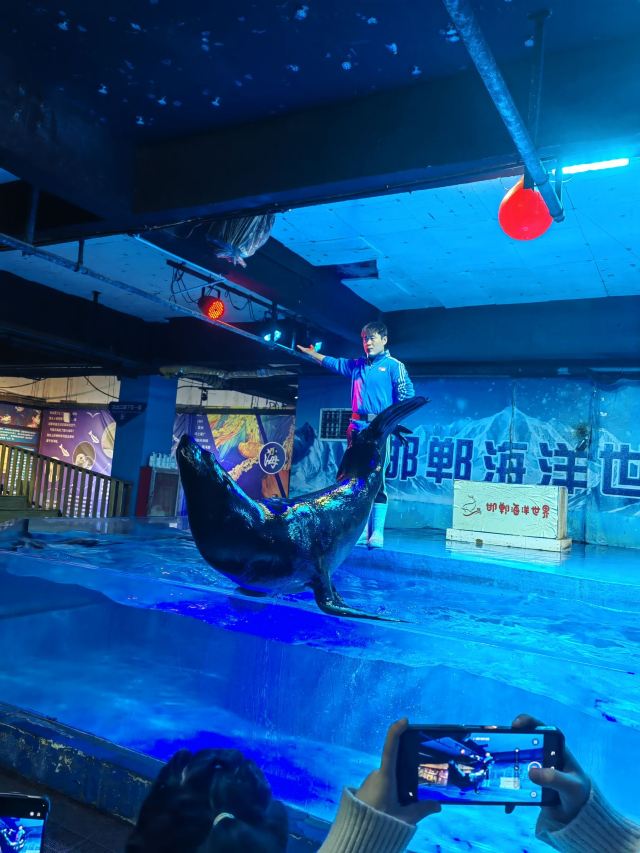 邯郸·海洋世界旅行图片 2