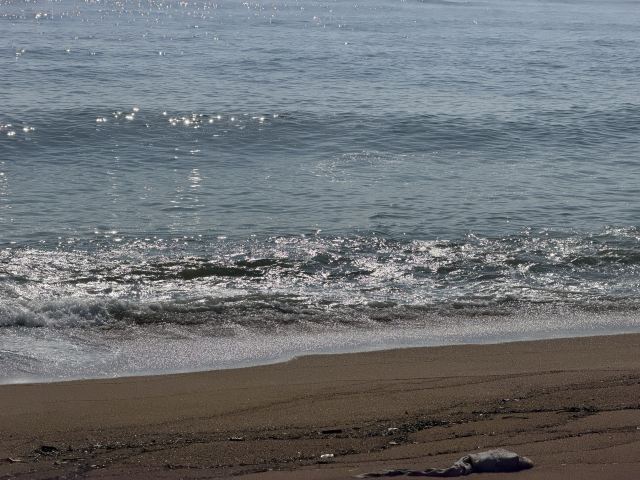 博鳌亚洲论坛成立会址景区旅行图片 2