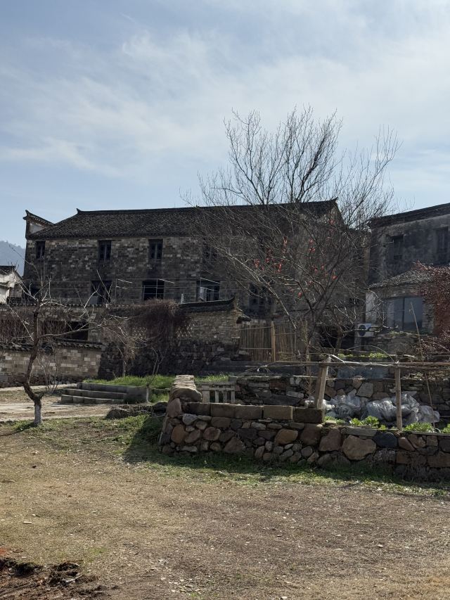桃花潭旅游度假区旅行图片 2