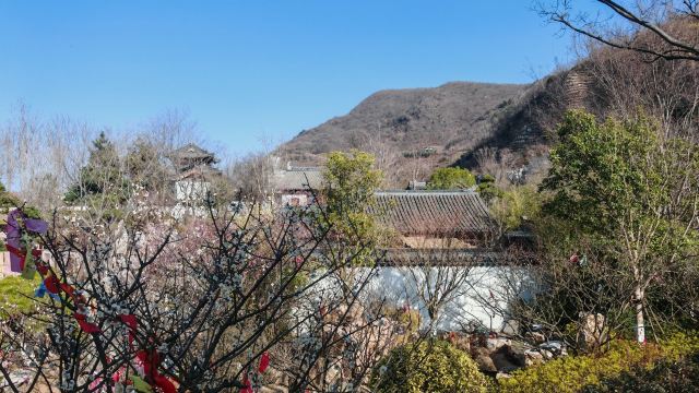 江苏园博园旅行图片 2