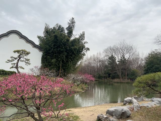 何园旅行图片 3
