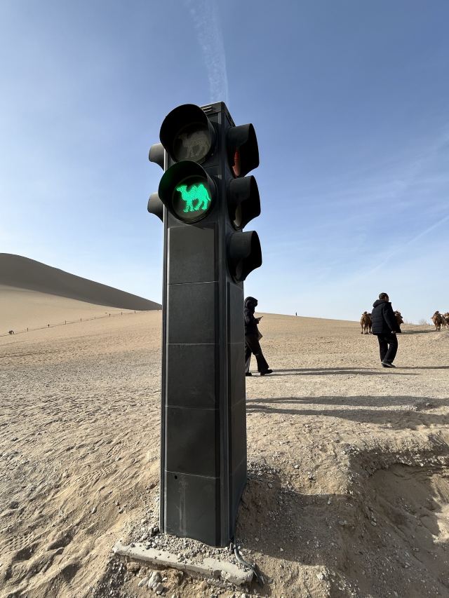 鸣沙山月牙泉旅行图片 8