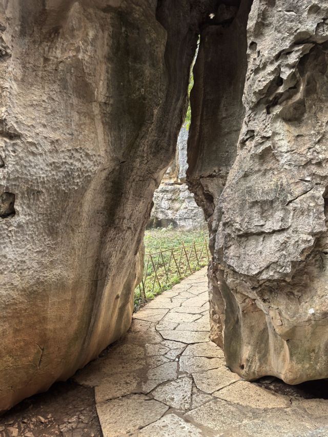 石林风景区旅行图片 4