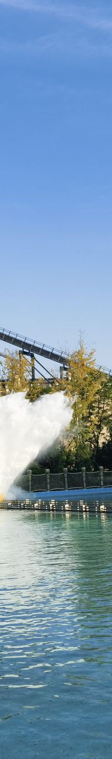 南京-YoYo_7O2D1K6B