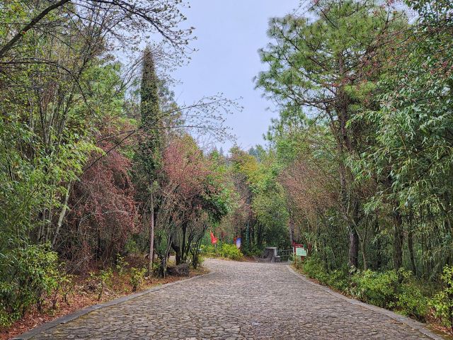 珠江源风景区旅行图片 3
