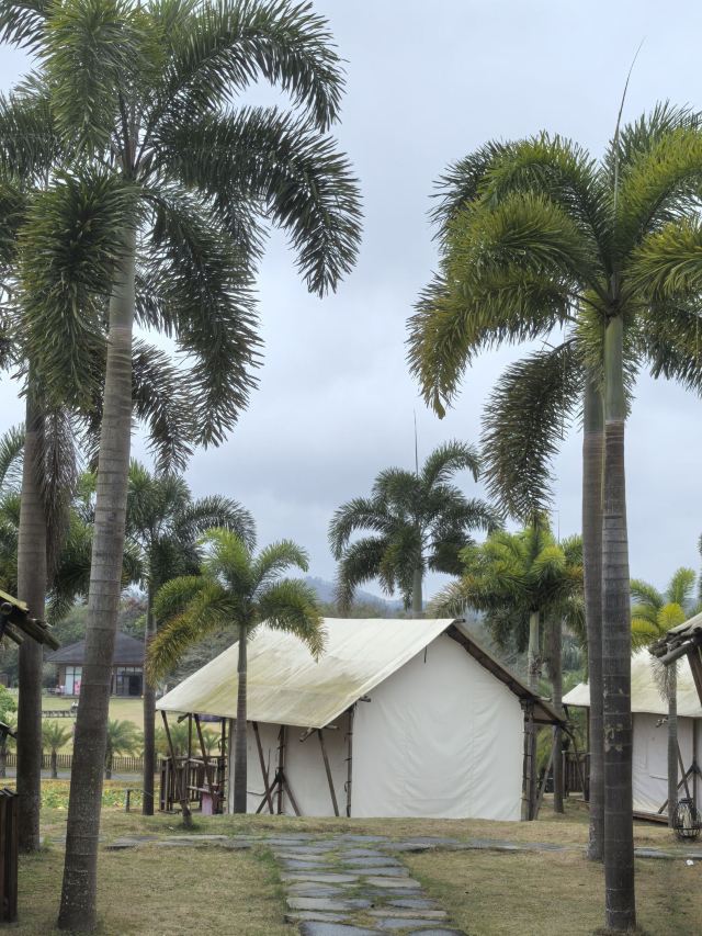 云舍松涛·海南中国村旅行图片 7