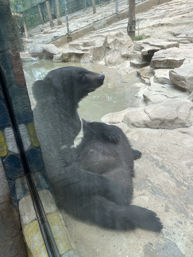 武汉野生动物王国旅行图片 1